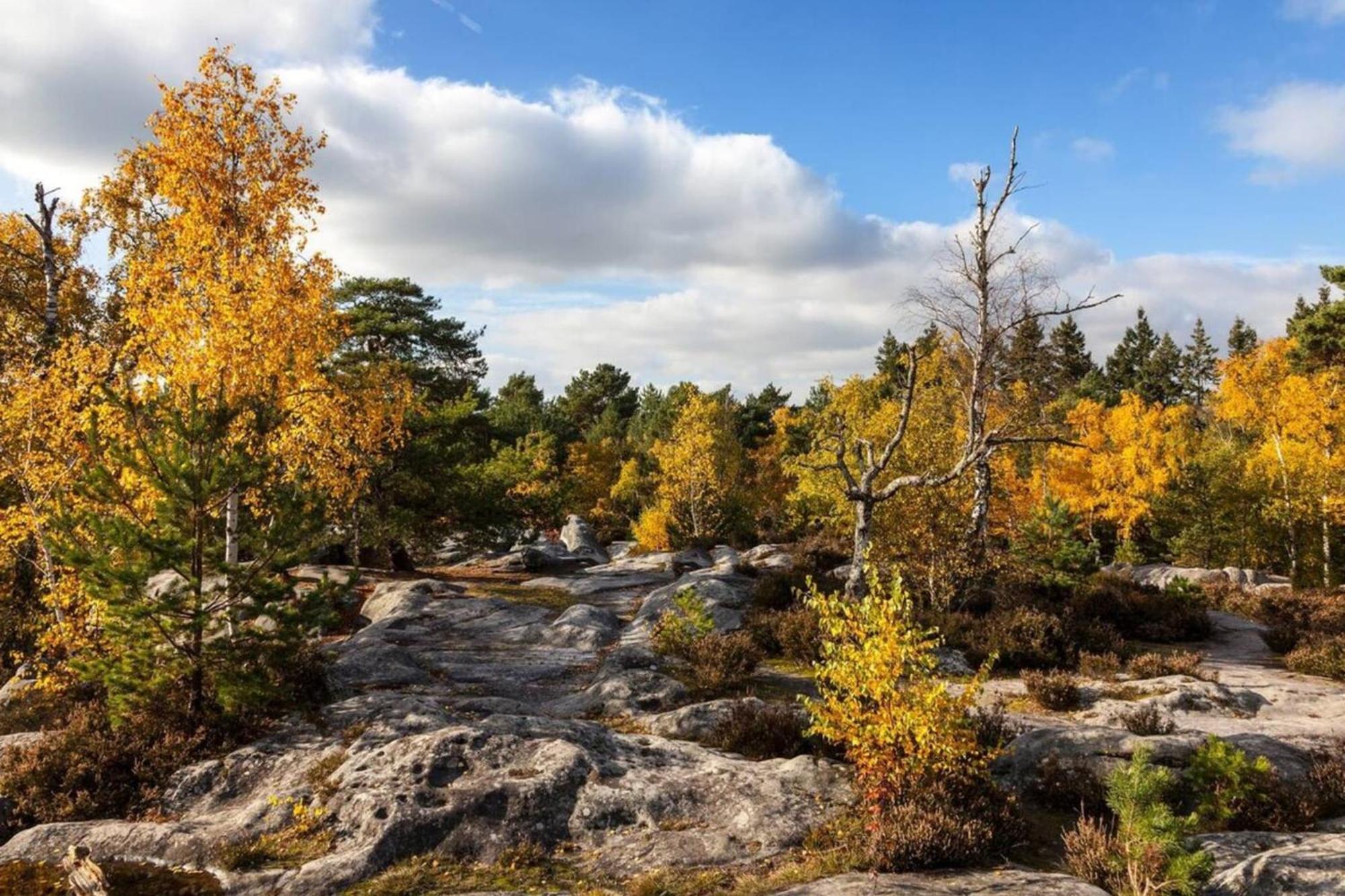 Апартаменты Fontainebleau - Chez Julien Экстерьер фото